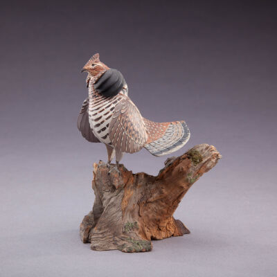 Untitled [Ruffed Grouse]
