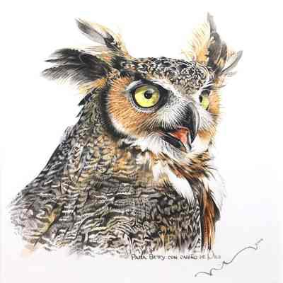 Untitled [Great Horned Owl]