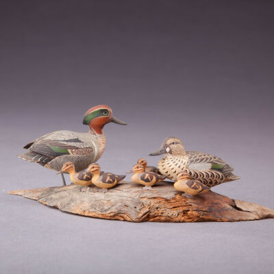 Untitled [Green-winged Teal Family]