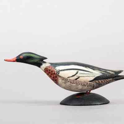 Untitled [Red-breasted Merganser Drake]