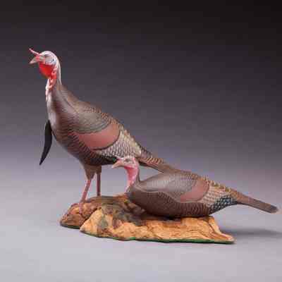 Untitled [Wild Turkey Pair]