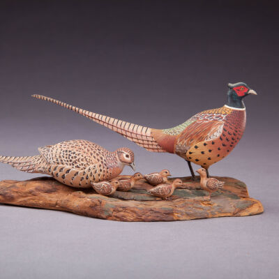 Untitled [Ring-necked Pheasant Family]