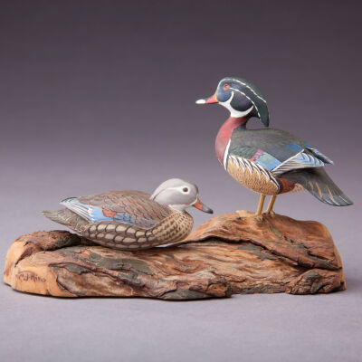 Untitled [Wood Duck Pair]