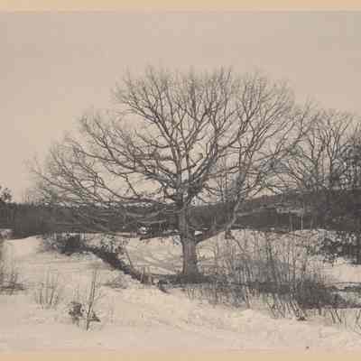 441 Buttricks oaks, Estabrook road, Concord, Massachusetts