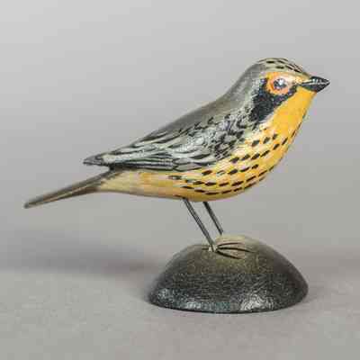 Untitled [Canada Warbler]