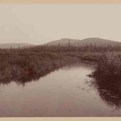 North Meadow, Umbagog, Maine