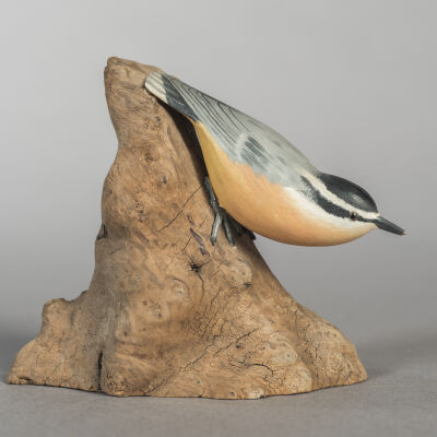 Red-breasted Nuthatch