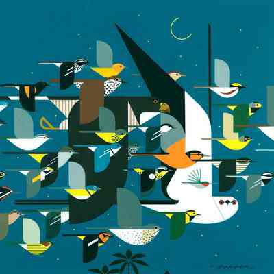 Mystery of the Missing Migrants