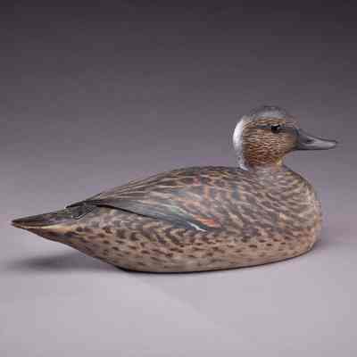 Untitled [Green-winged Teal Hen]