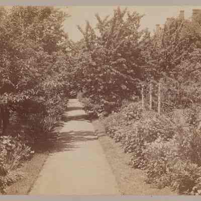 Brewster's garden, June 1894