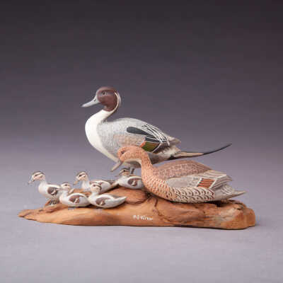 Untitled [Northern Pintail Family]