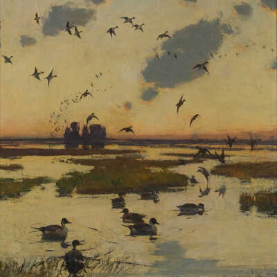 The Duck Marsh