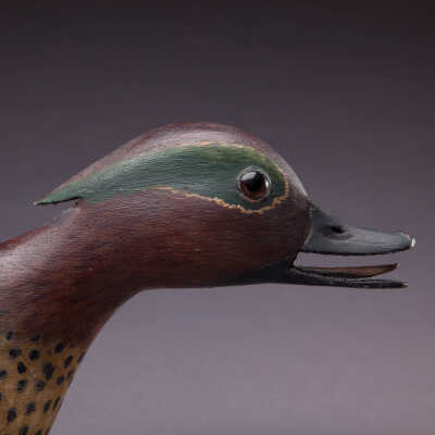 Untitled [Green-winged Teal Drake]