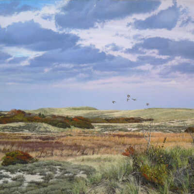Flight over Dunes in Autumn