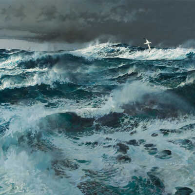 Untitled [Wandering Albatross]