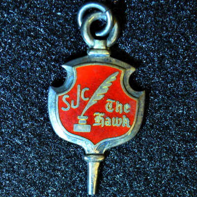 Pin, Lapel