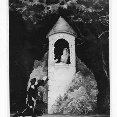Into The Woods