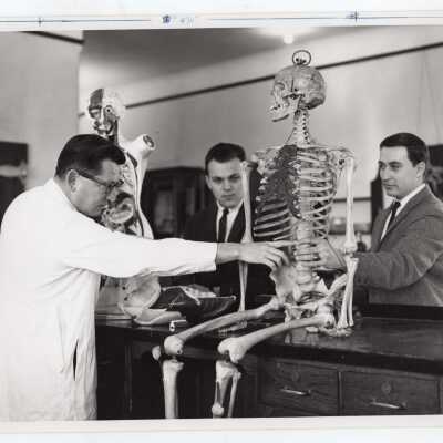Biology professor Francis J. MacEntee, S.J. with two students in science laboratory looking at skeleton, April 1964.