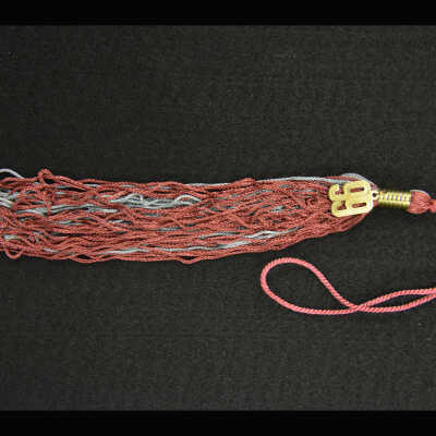 Tassel, Academic