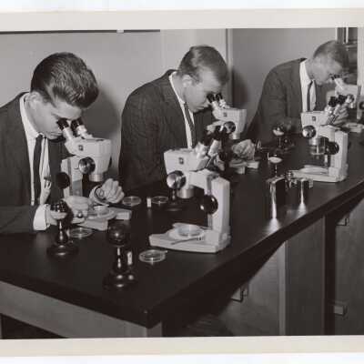 Three biology students using microscopes in science laboratory, September 1963.