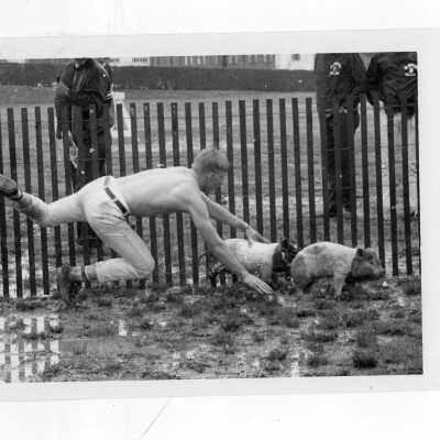 Student, Robert Auve, chasing two small pigs during Junior Week activities.