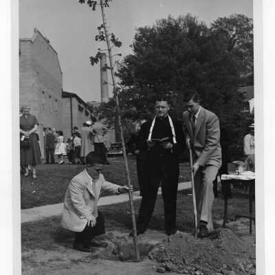 Students planting tree near Field House during Junior Week activities with Edward G. Jacklin, S.J. President, c. 1952.