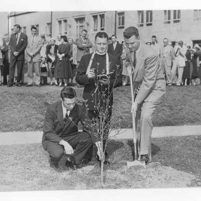 Students Stephen J. McEwan and John L. Sullivan planting tree near Field House during Junior Week activities with Edward G. Jacklin, S.J. President, c. 1952.