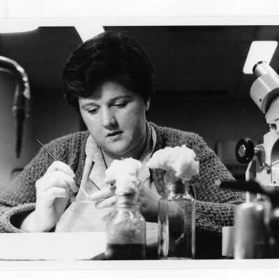 Women student working with petri dish in science laboratory.