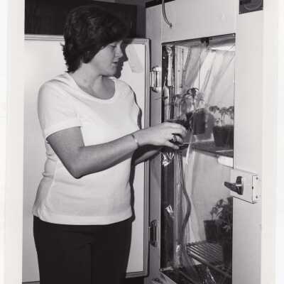 Biology student, Barbara Baker, working on Crown Gall project in science laboratory, August 1975.