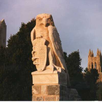 View of carved mascot hawk in front of Mandeville Hall with Barbelin Tower in background.