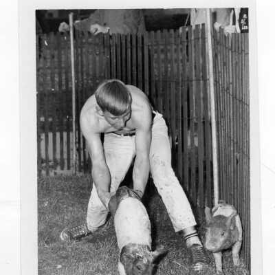 Student, Robert Auve, chasing two pigs during Junior Week.