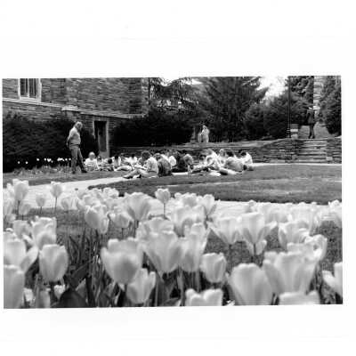 Students listening to lecture in Barbelin quandrangle with tulips blooming in foreground.
