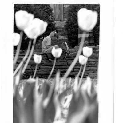 Woman sitting on stone wall in Barbelin quadrangle reading with tulips blooming in foreground