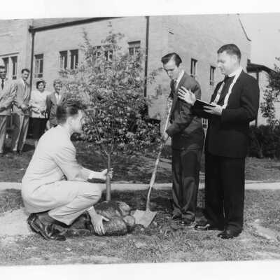 Students planting tree near Field House during Junior Week activities with Edward G. Jacklin, S.J. President, c. 1952.