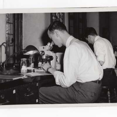 One chemistry student looking through microscope and another working on experiment in science laboratory, c. 1965.