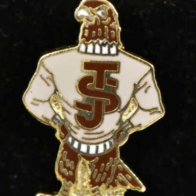 Pin, Promotional