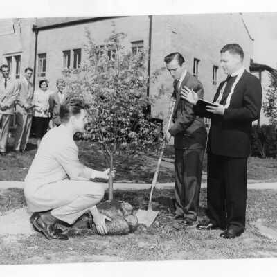 Students planting tree near Field House during Junior Week activities with Edward G. Jacklin, S.J. President, c. 1952.