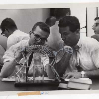 Biology students in working with model of animal skeleton in science laboratory, 1965.