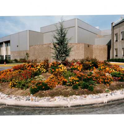 Exterior view of Sports Complex with drive around circle planted in chrysanthemums.