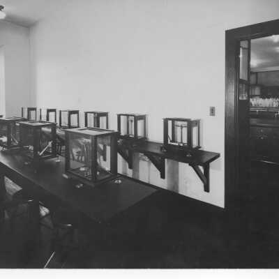 Interior view of balancing room in chemistry laboratory in Barbelin building.