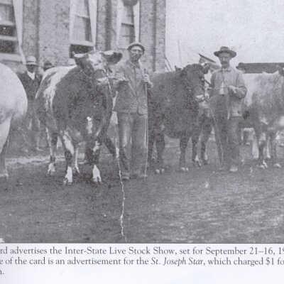 Livestock Show