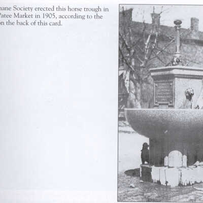 Patee Market Horse Trough