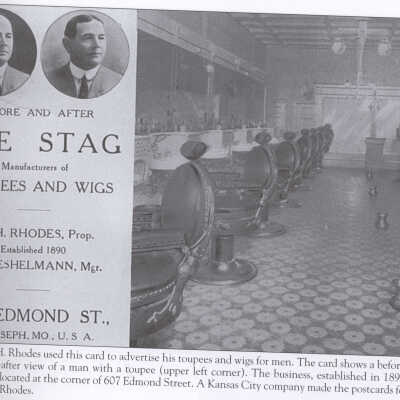 Stag Toupees & Wigs