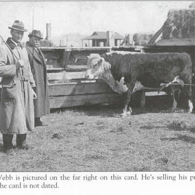Stockyards Sale