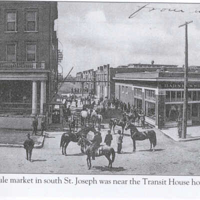 Transit Hotel Horse Mule Market