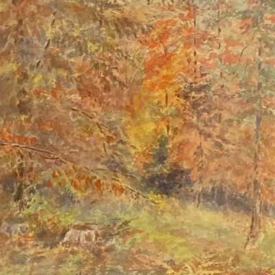 Woodland Scene