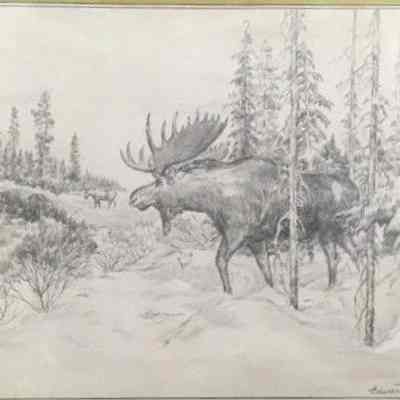 Moose in a Snowy Forest