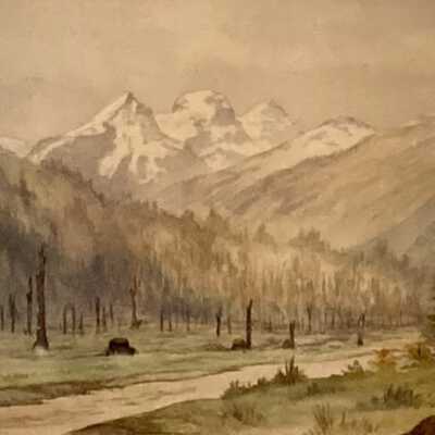 Fernie After the Fire