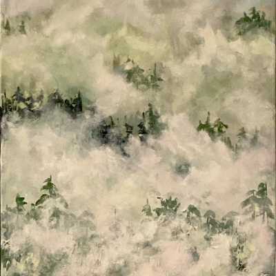 Rain Forest Solitudes