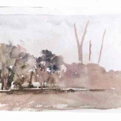 Landscape (unfinished)